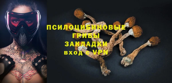 дмт Алзамай