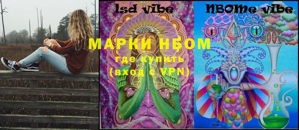 дмт Алзамай