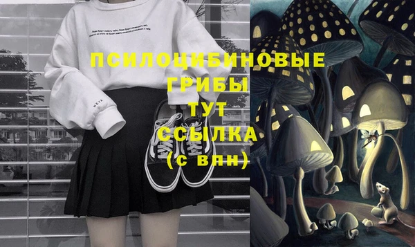 дмт Алзамай