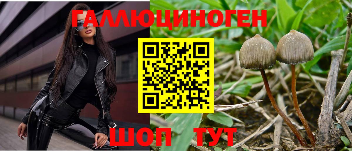 Галлюциногенные грибы Magic Shrooms  Вход с VPN  где купить наркотик  Ярцево 